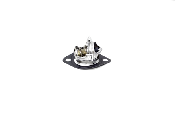 THERMOSTAT AND GASKET VECTOR 19HE (MRD-25-15003-03)
